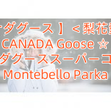 【カナダグース 】＜梨花愛用＞ CANADA Goose ☆ カナダグーススーパーコピー Montebello Parka